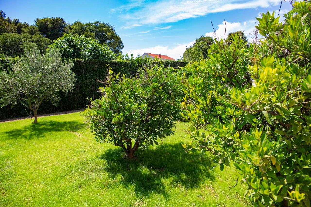Iadertina Apartment Zadar Eksteriør billede